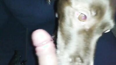 Sex animal's: women having sex with animals