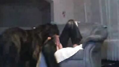 Bestiality sex: porno movie animal trainer 14 full