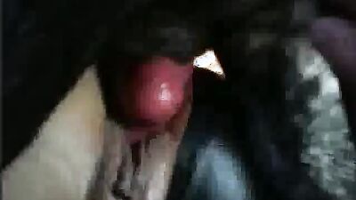 Bestiality sex: porno movie animal trainer 14 full