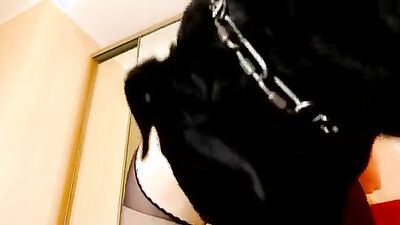 Dog gay porn: young girls naked sex with a dog