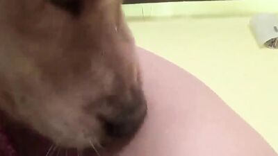 3d zoo porn: bestiality vids 2025