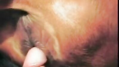 Girl cat dog: porn animal rule
