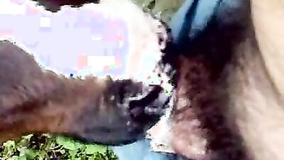 Zoo dog porn: veronika silesto zoo porn
