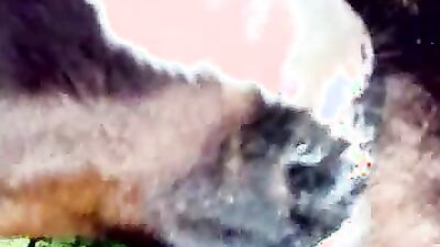 Zoo dog porn: veronika silesto zoo porn