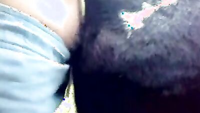 Russian zoo porn: dog zoo porn stories