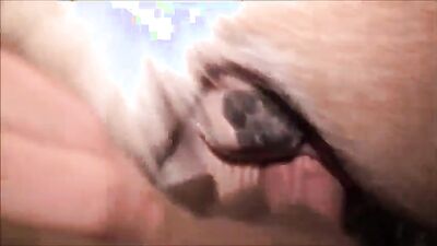Zoo dog sex: girl dog blow