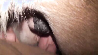Zoo dog sex: girl dog blow