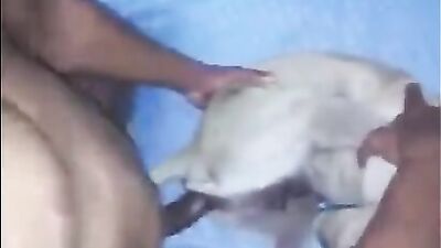 Bestiality sex: beastiality dog porn