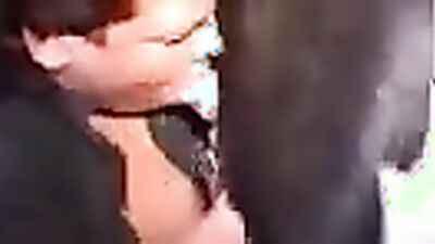 Dog porn video: zoophilia real