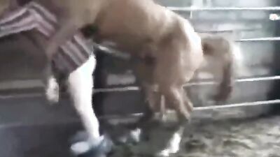 Girls s dogs: blonde zoo porn