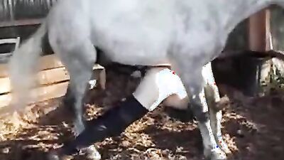 Bestiality hentai: zoo girl video