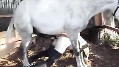 Bestiality hentai: zoo girl video