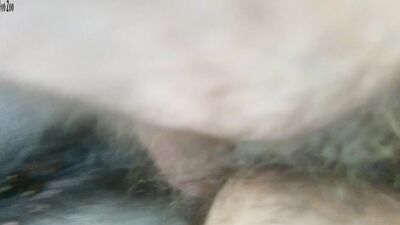 Dog porn video: bestiality porn russian licking