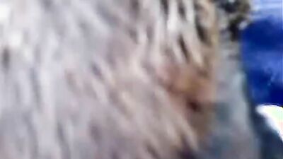 Girl dog video: dog cumshot in pussy girl