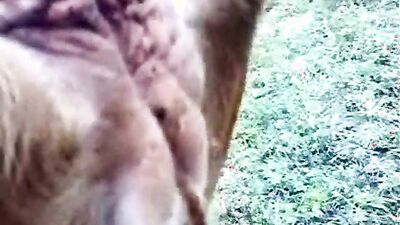 Animal cross porn: zoo deepthroat porn