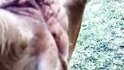 Animal cross porn: zoo deepthroat porn