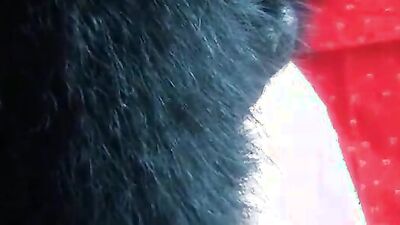 Zoophilia video: horse fuck woman zoo porn