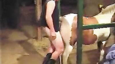 Dog fuck girls fucking: zoo sex porn comics