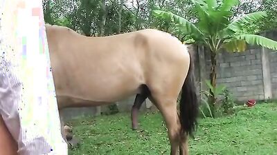 Dog girl anal: animals dog zoo porn
