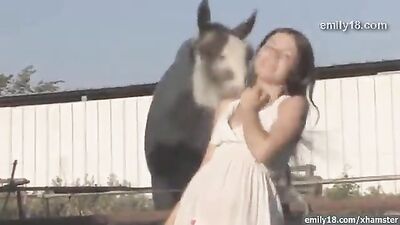 Zoo fuck porn: wife try dog sex video