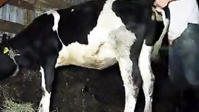 Zoo sex porn: man fuck animal porn