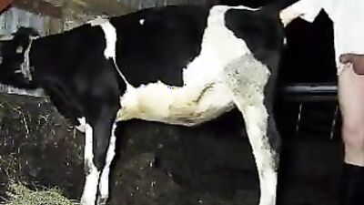 Zoo sex porn: man fuck animal porn