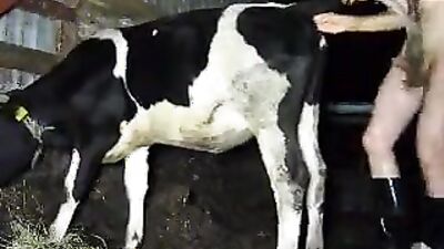 Zoo sex porn: man fuck animal porn