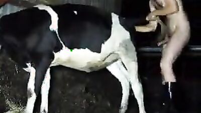 Zoo sex porn: man fuck animal porn