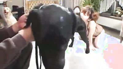 Girl playing dog: latina zoo porn