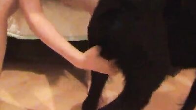 Zoo porn: chezcathy animal sex and zoo videos