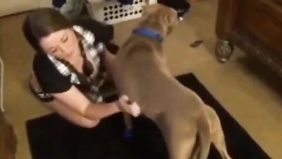 Girl dog video: animals bestiality sex