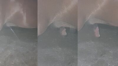 Bestiality zoo: dog end pig fycing littl bebi girl