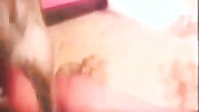Dog sex: av4 zoo sex