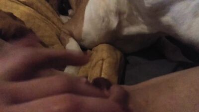 Girl dog video: man fucks dogs zoo porn