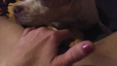 Girl dog video: man fucks dogs zoo porn