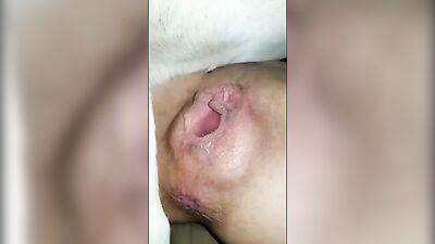 Art of zoo porno: zoo porn cock