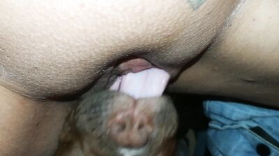 Girl cat dog: dog rape young girl