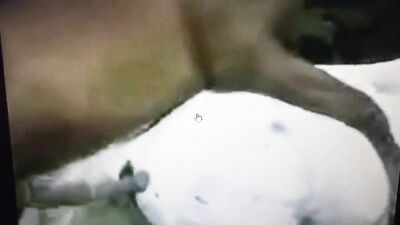 Bestiality comics: 3d porn zoophilia