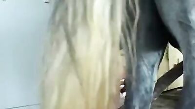 Girl dog video: zoo porn monkey