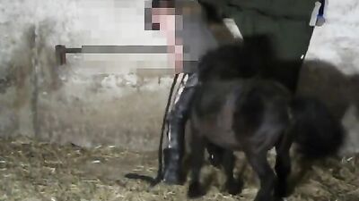 Dog sex porn: wed bestiality sex