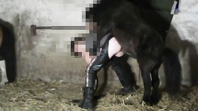 Dog sex porn: wed bestiality sex