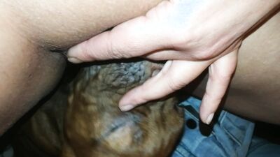 Bestiality: kiss zoo porn