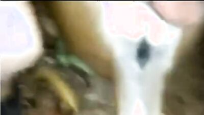 Bestiality sex id: suzy spark dog porn