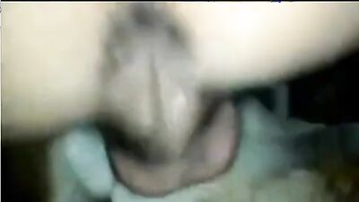 Bestiality sex id: suzy spark dog porn