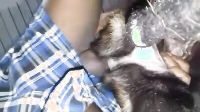 Zoo sex video: zoo porn sucking