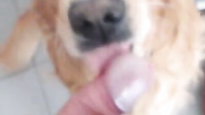 Dog fuck girl: animal porn manga