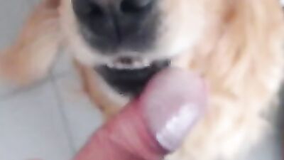 Dog fuck girl: animal porn manga