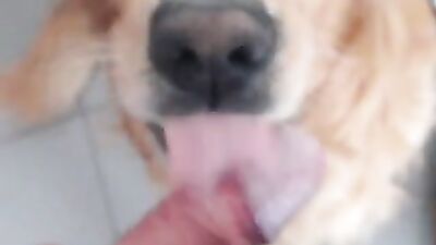Dog fuck girl: animal porn manga