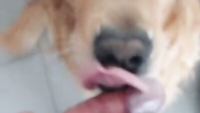 Dog fuck girl: animal porn manga