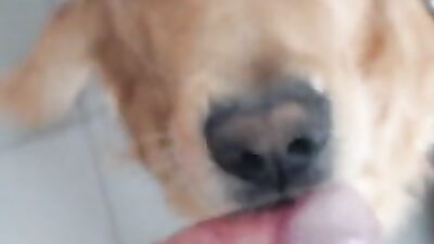 Dog fuck girl: animal porn manga